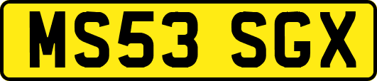 MS53SGX