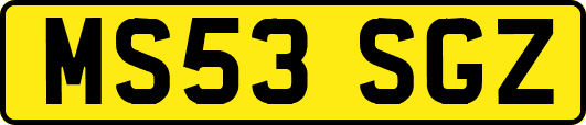 MS53SGZ