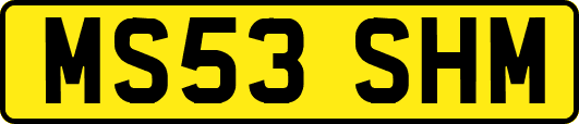 MS53SHM