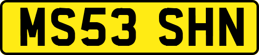 MS53SHN