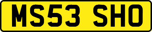 MS53SHO