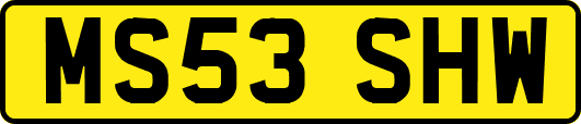 MS53SHW