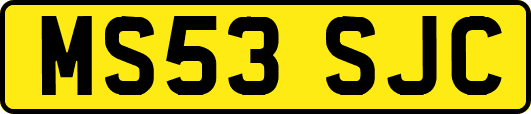 MS53SJC
