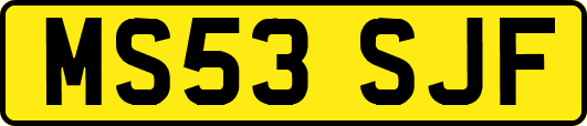 MS53SJF