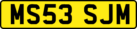 MS53SJM