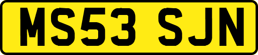 MS53SJN