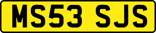 MS53SJS