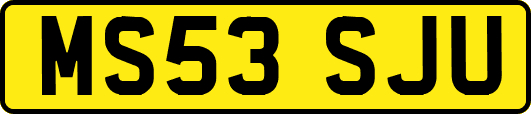MS53SJU