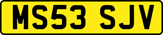 MS53SJV