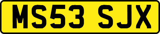 MS53SJX