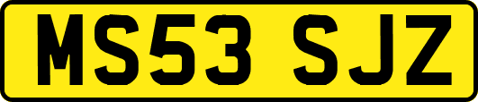 MS53SJZ