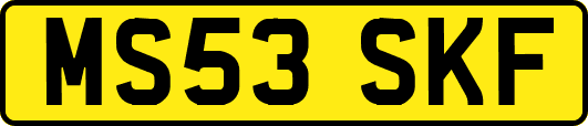 MS53SKF
