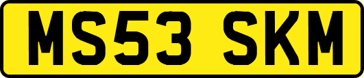 MS53SKM