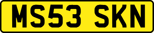MS53SKN