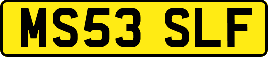 MS53SLF