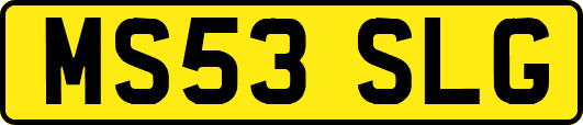 MS53SLG