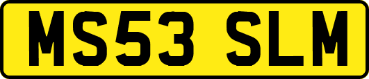 MS53SLM