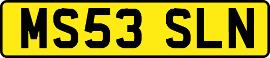 MS53SLN
