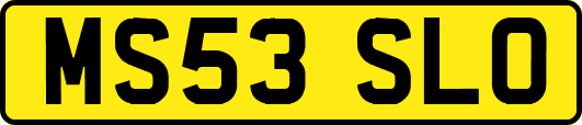 MS53SLO