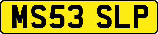 MS53SLP