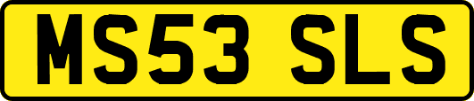 MS53SLS