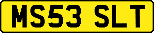 MS53SLT