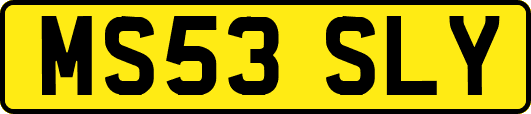 MS53SLY