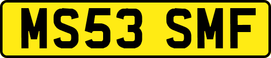 MS53SMF