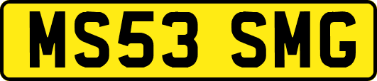MS53SMG