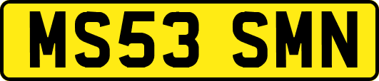 MS53SMN