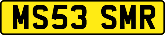 MS53SMR