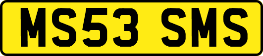MS53SMS