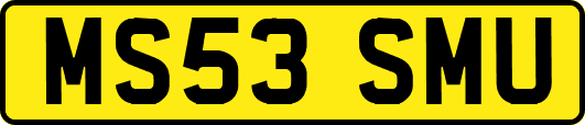 MS53SMU