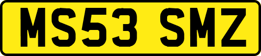 MS53SMZ