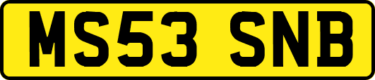MS53SNB