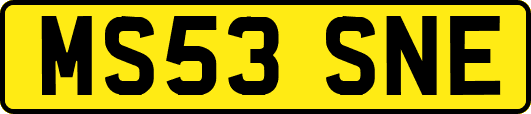 MS53SNE