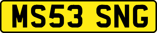 MS53SNG
