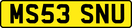 MS53SNU