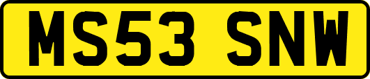 MS53SNW