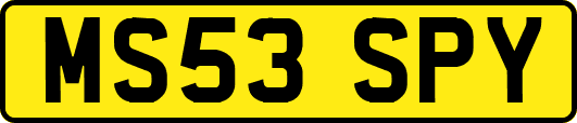 MS53SPY