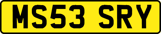 MS53SRY