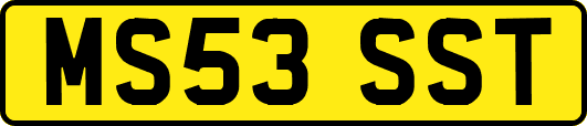 MS53SST