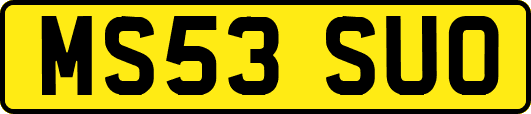 MS53SUO