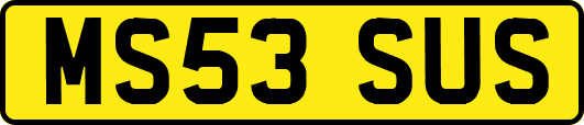 MS53SUS