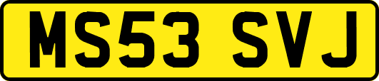 MS53SVJ