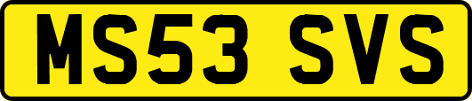 MS53SVS