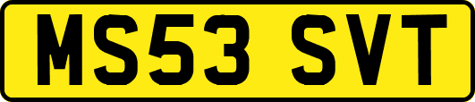 MS53SVT