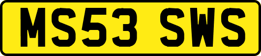 MS53SWS