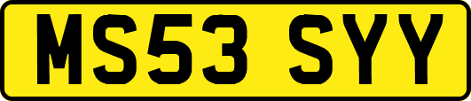 MS53SYY