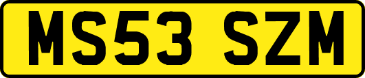 MS53SZM